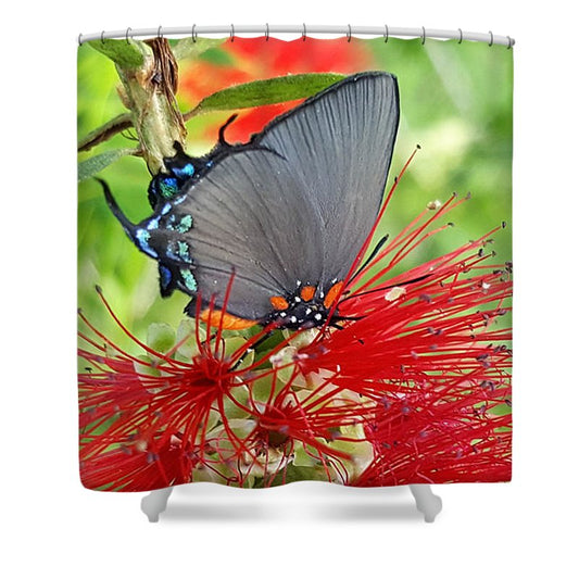 Butterfly Dances - Shower Curtain