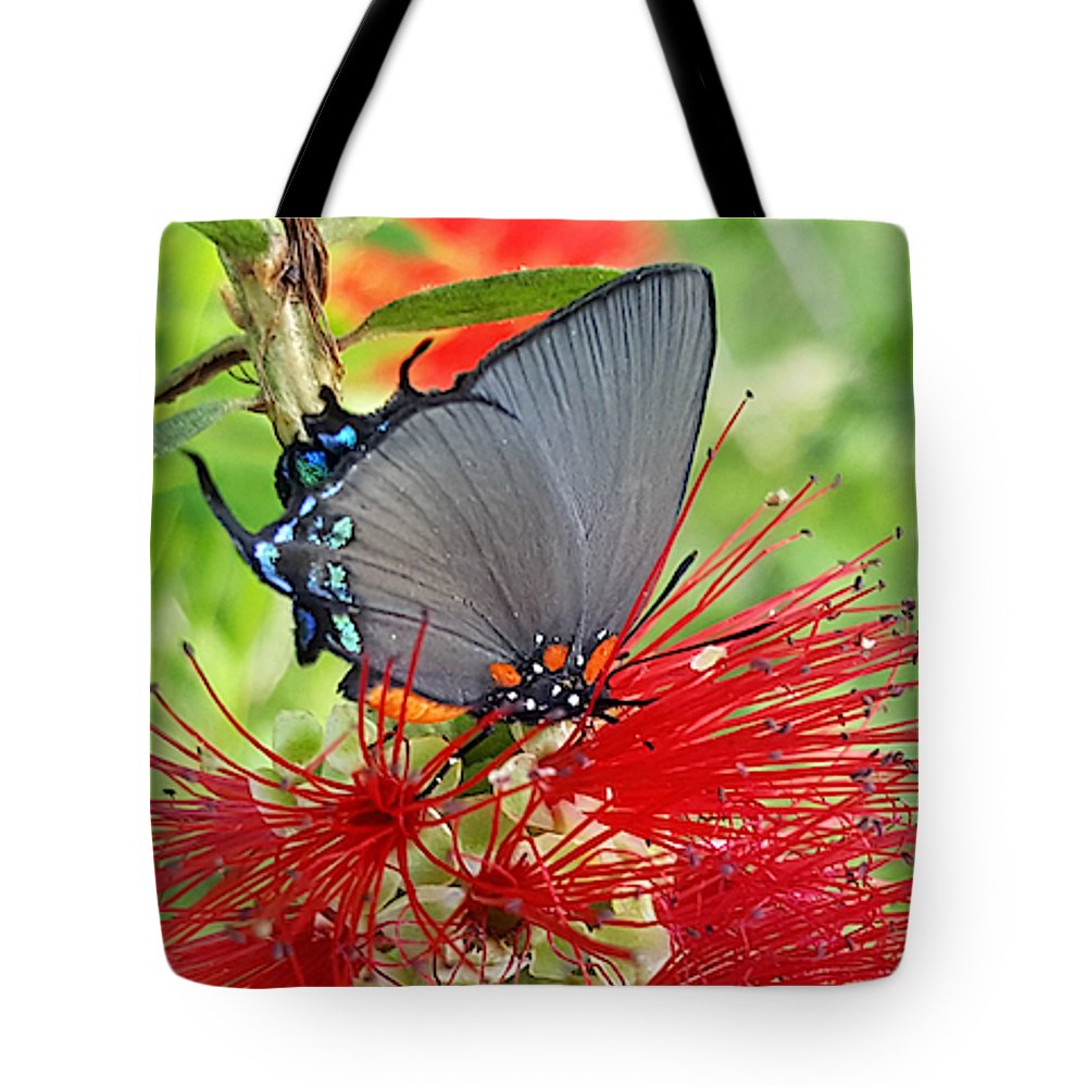 Butterfly Dances - Tote Bag