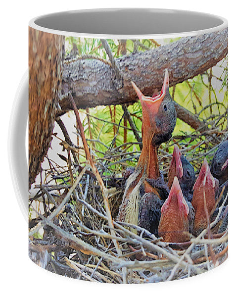Help Feeds The Baby Birds - Mug