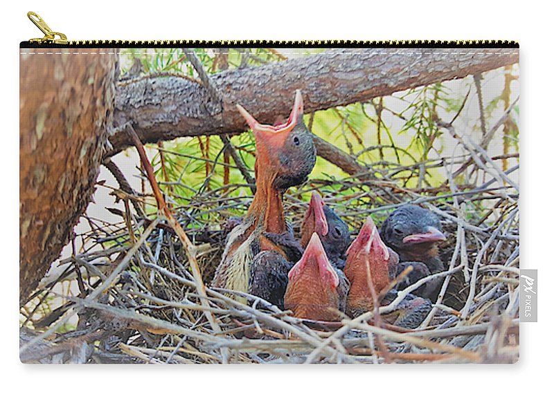 Help Feeds The Baby Birds - Carry-All Pouch