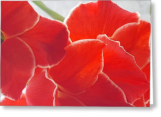Red The Color Of Love - Greeting Card