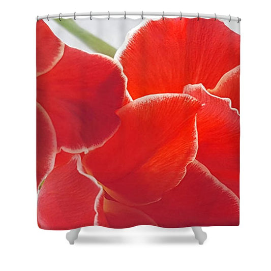Red The Color Of Love - Shower Curtain