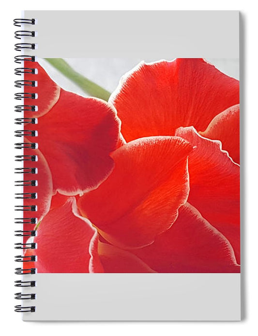 Red The Color Of Love - Spiral Notebook
