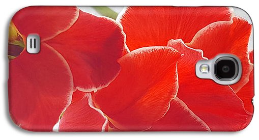 Red The Color Of Love - Phone Case